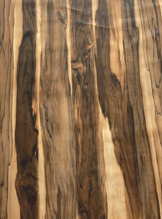 Oliviya 800 Premium Wooden High Gloss Zebra Elm Wood Laminate 8x4 ft Texture 0.8 mm - 3228 PHG