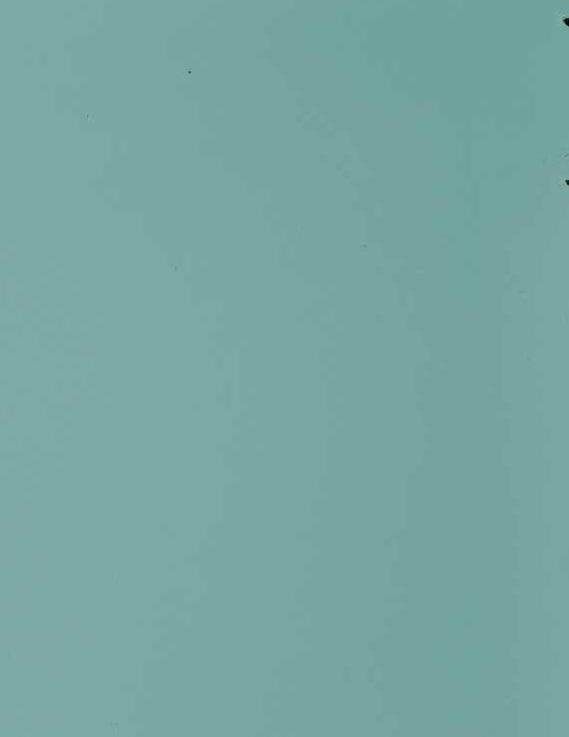 Arctic Blue Plain Laminate 8x4 ft Texture 1 mm - 3245 AFP