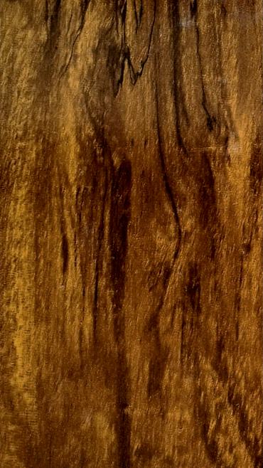 Natural Decor Wood Laminate 8x4 ft High Gloss 0.8 mm - 3253 SHG