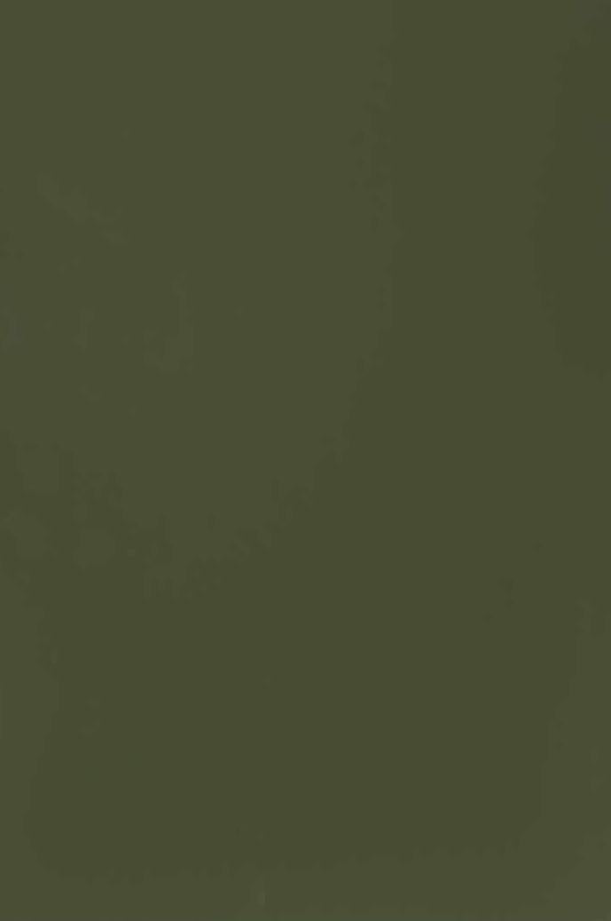 Olive Green Plain Laminate 8x4 ft Texture 1 mm - 3271 LU