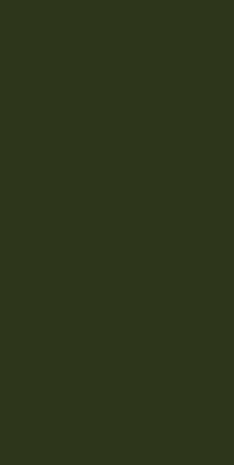 Olive Green Plain Laminate 8x4 ft Texture 1 mm - 3271 SI