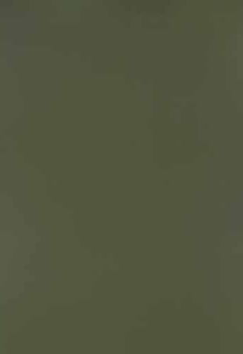 Olive Green Plain Laminate 8x4 ft Suede 1 mm - 3271 SU