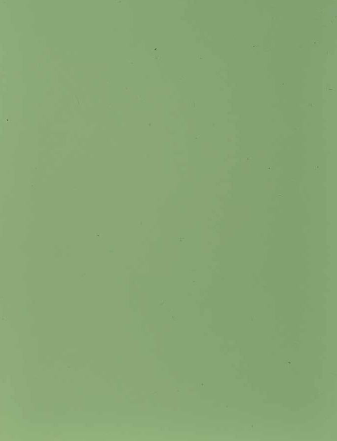 Seafoam Green Plain Laminate 8x4 ft Texture 1 mm - 3282 AFP