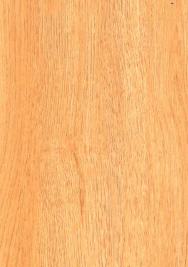 Brazilian Prunus Wood Laminate 8x4 ft Texture 1 mm - 33305 VC