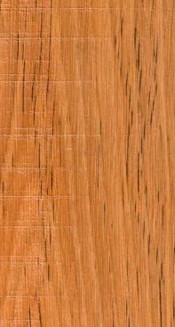 Tanoak Madera Wood Laminate 8x4 ft Texture 1 mm - 33307 JC