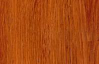 Tanoak Wood Laminate 8x4 ft Texture 1 mm - 33308 US+