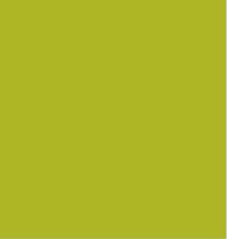 Limone Plain Laminate 8x4 ft High Gloss 1 mm - 343 MR
