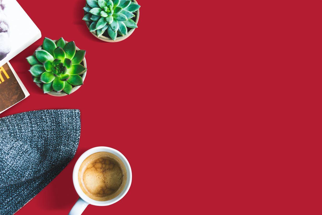 Petal Pink Plain Laminate 8x4 ft High Gloss 1 mm - 3542 NGL