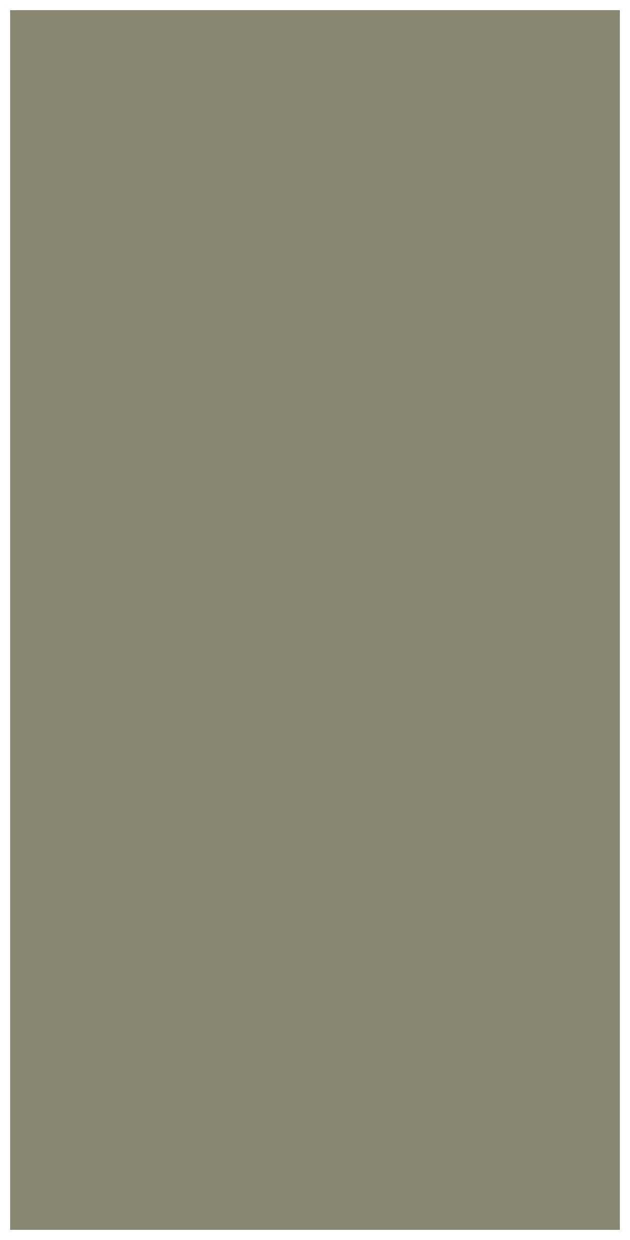 Grey Out Plain Laminate 8x4 ft High Gloss 1 mm - 3561 NGL