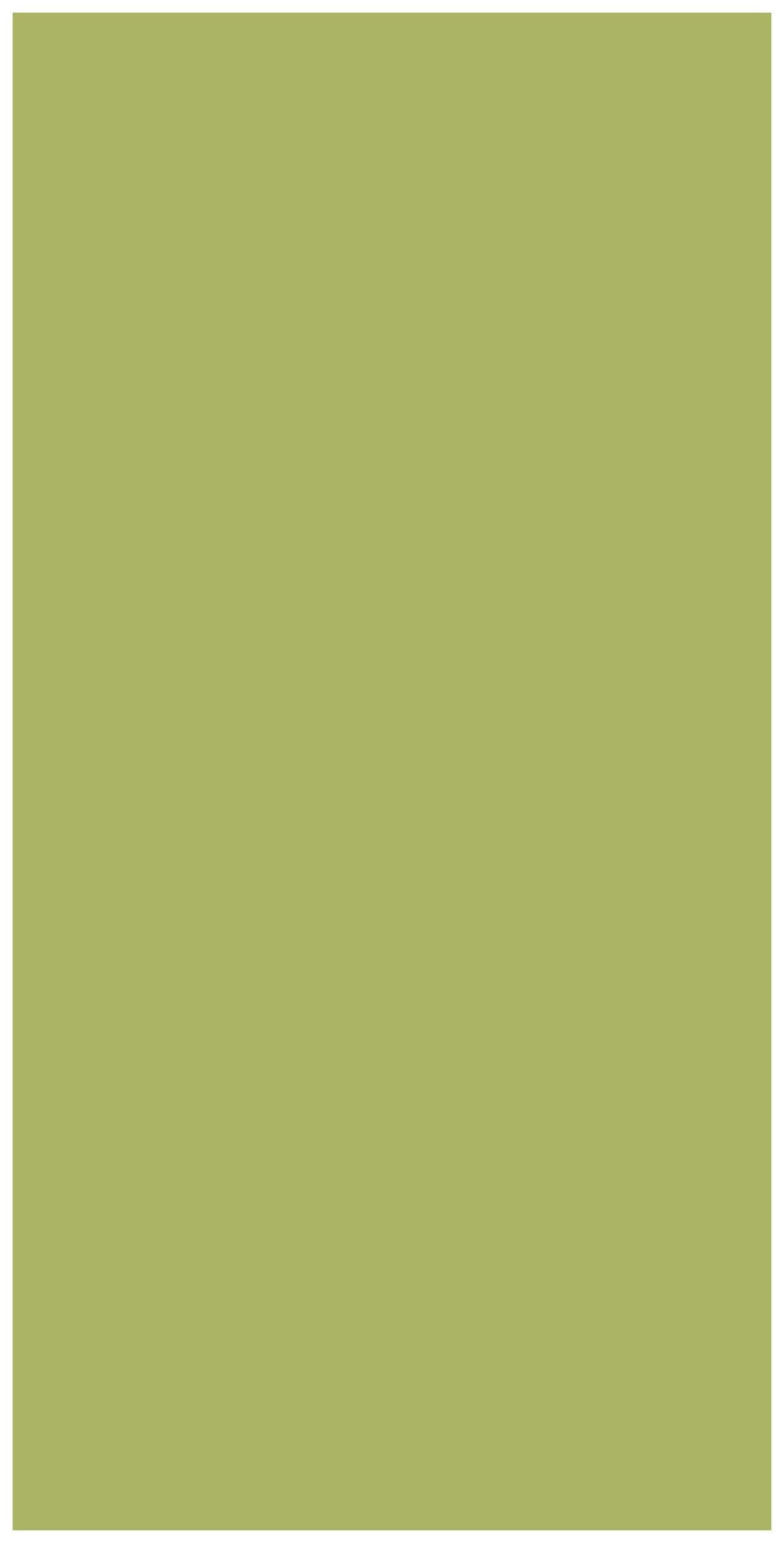 Soft Fern Plain Laminate 8x4 ft Suede 1 mm - 3576 SUD
