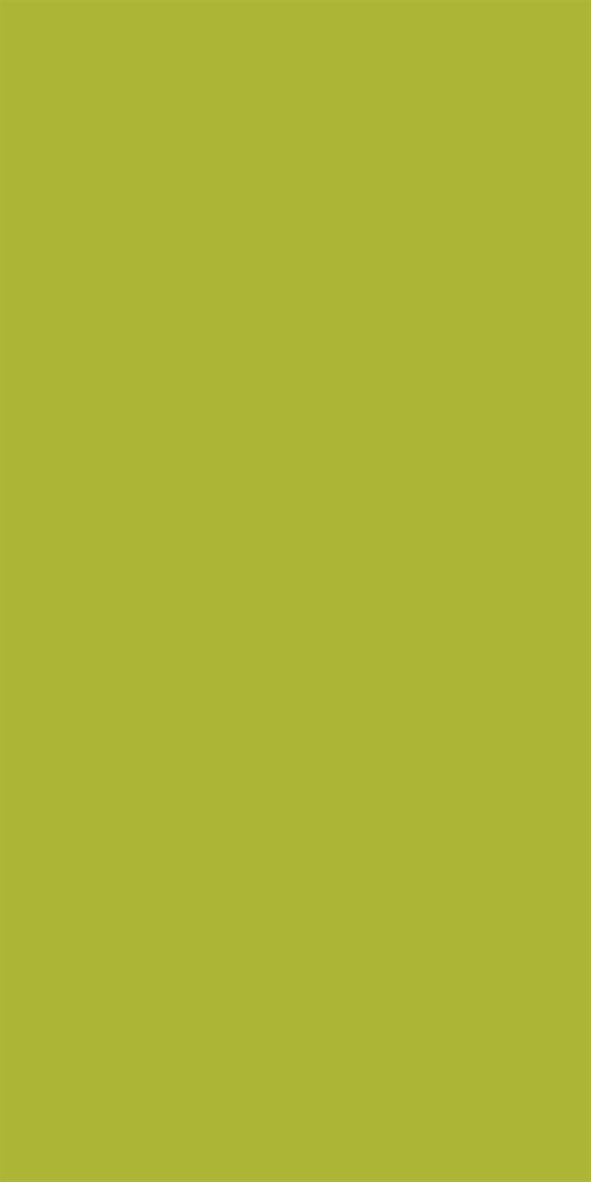 Fresh Green Plain Laminate 8x4 ft High Gloss 1 mm - 3580 NGL