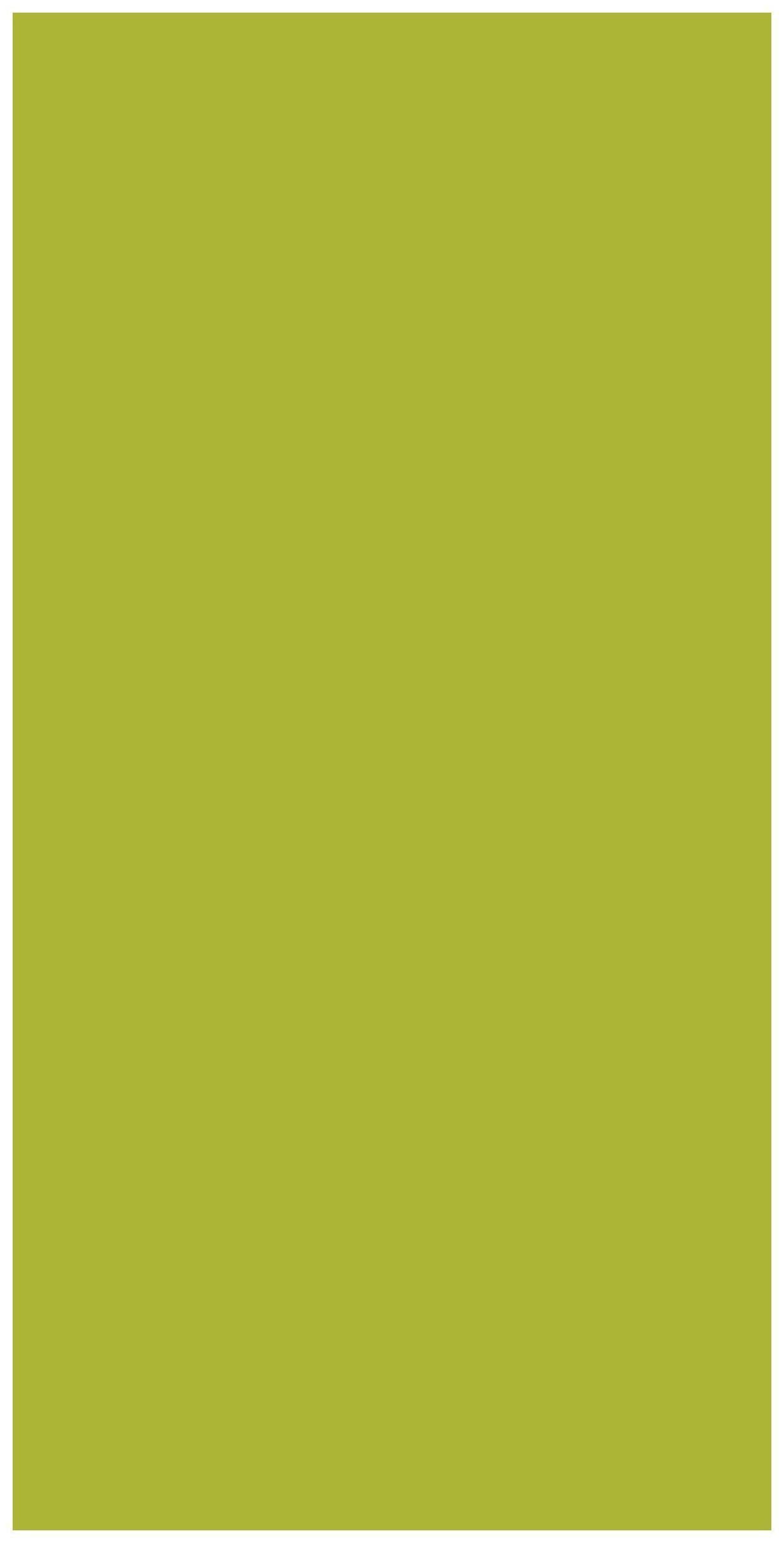 Fresh Green Plain Laminate 8x4 ft Suede 1 mm - 3580 SUD