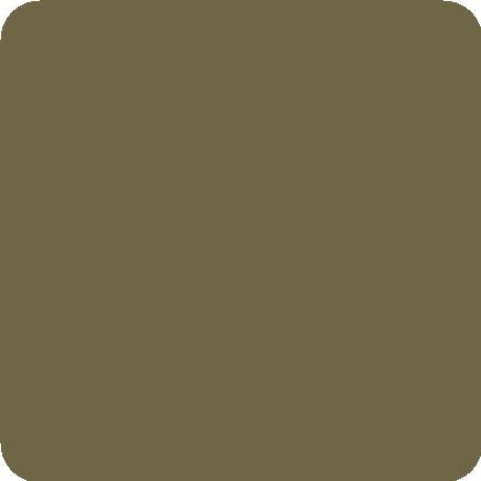 Khaki Plain Laminate 8x4 ft High Gloss 1 mm - 3588 SLG