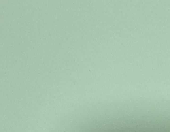Rosemary Plain Laminate 8x4 ft Super Matte 1 mm - 3598 RSO
