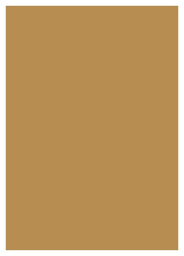 Tucson Gold Plain Laminate 8x4 ft Super Matte 1 mm - 3605 RSO