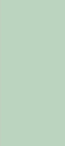 Mint Grey Plain Laminate 8x4 ft High Gloss 1 mm - 3812 HGL