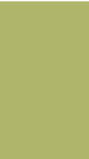 Pista Plain Laminate 8x4 ft High Gloss 1 mm - 3821 HGLS