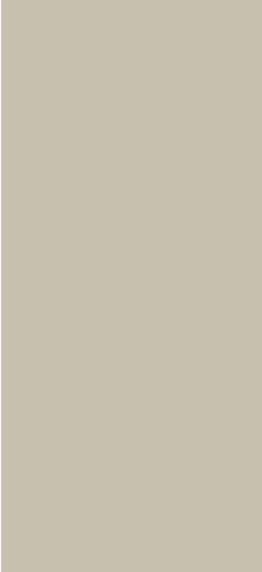 Coconut Brown Plain Laminate 8x4 ft Super Matte 1 mm - 3828 SMT