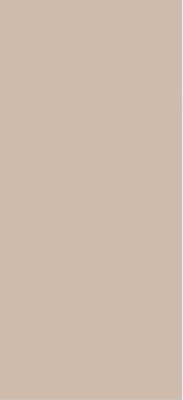 Nude Punk Plain Laminate 8x4 ft Matte 1 mm - 3855 ZM