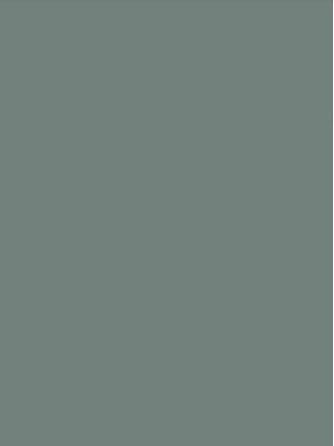 Slate Grey Plain Laminate 8x4 ft High Gloss 1 mm - 3869 HGL