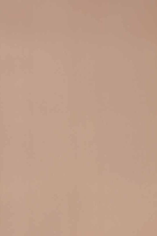 Golden Glacier Plain Laminate 8x4 ft Texture 1 mm - 3919 LU