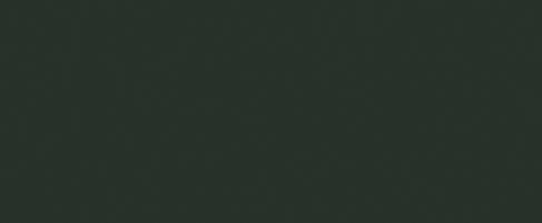 Forest Green Plain Laminate 8x4 ft Texture 1 mm - 392 CH