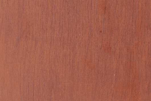 Delicatesse Fir Wood Laminate 8x4 ft Texture 1 mm - 4113 SW