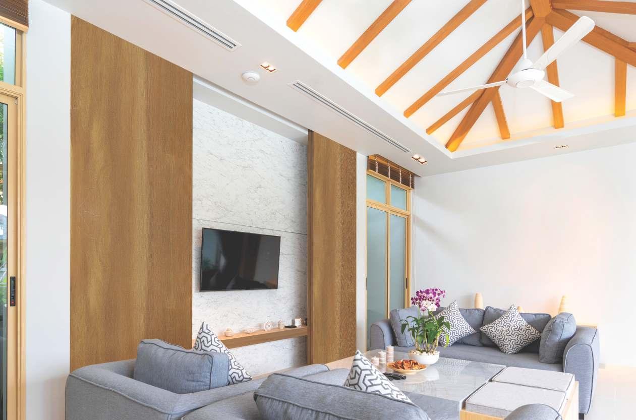 Canyon Arctic Pine Wood Laminate 8x4 ft High Gloss 1 mm - 4137 SG