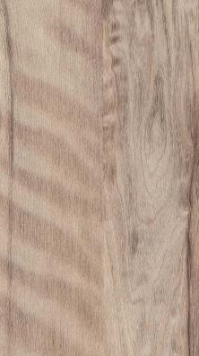 Patina Light Wood Laminate 8x4 ft Texture 1 mm - 4276 A64