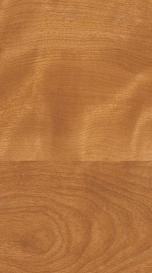 Peltro Sycamore Yellow Wood Laminate 8x4 ft High Gloss 1 mm - 4299 Hz