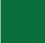 Parrot Green Plain Laminate 8x4 ft Suede 0.8 mm - 4442 SF