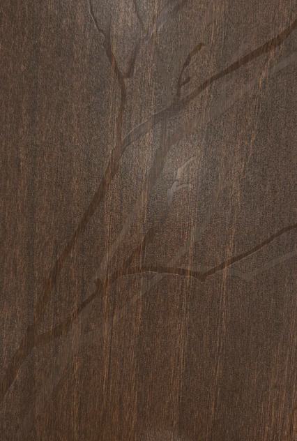 Brown wood grain laminate with textured finish and visible wood pattern and knots.