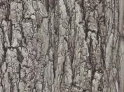 Fantacy Wood Laminate 8x4 ft High Gloss 1 mm - 4547 HGLS