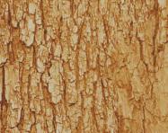 Fantacy Wood Laminate 8x4 ft Suede 1 mm - 4548 SF