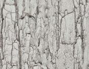 Fantacy Wood Laminate 8x4 ft High Gloss 1 mm - 4549 HGLS