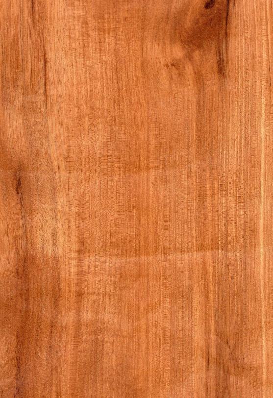 Europa Walnut Wood Laminate 8x4 ft High Gloss 0.8 mm - 4660 GL