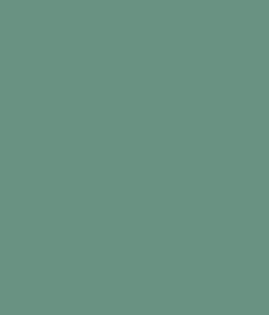 Fern Green Plain Laminate 8x4 ft High Gloss 0.8 mm - 4805 GL