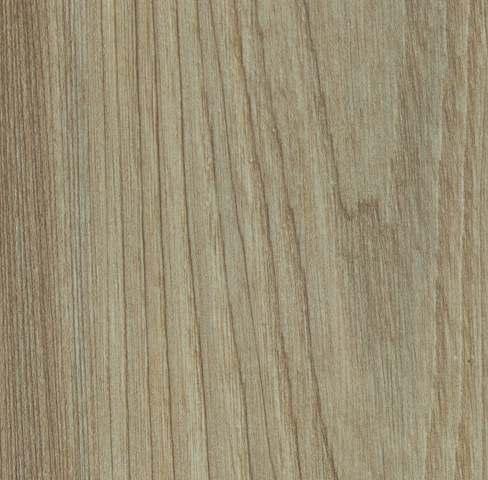 Canyon Century Elm Wood Laminate 8x4 ft High Gloss 1 mm - 486 MR