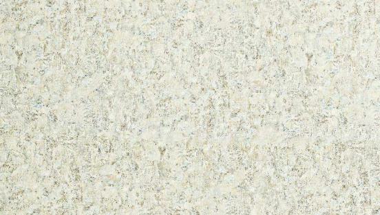 HZ Painted Concrete Marble & Stone Laminate 8x4 ft Texture 1 mm - 4890 EQ
