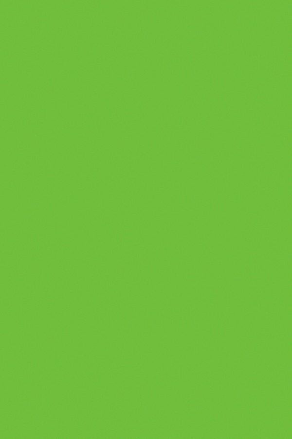 HGS Wet Grass Plain Laminate 8x4 ft High Gloss 0.8 mm - 511 P2