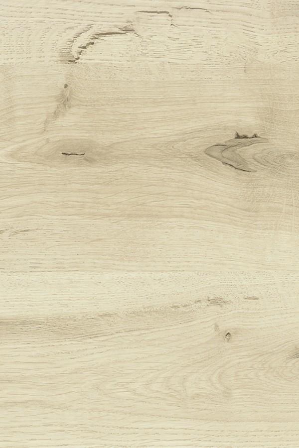 Forest White Wood Laminate 8x4 ft Texture 1 mm - 5148 HI