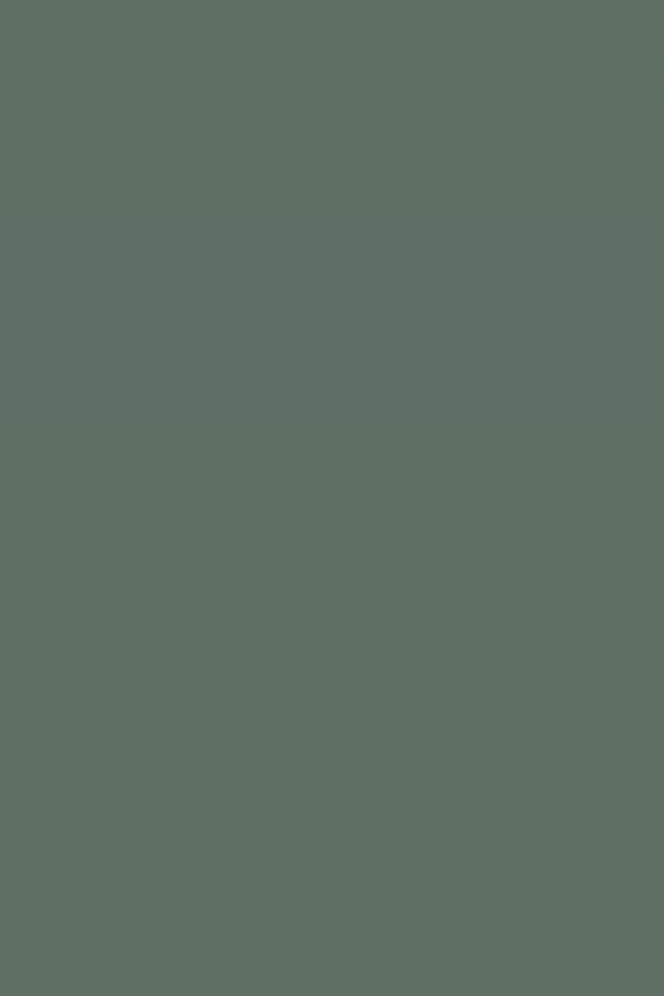 Olive Green Plain Laminate 8x4 ft High Gloss 1 mm - 5158 UG
