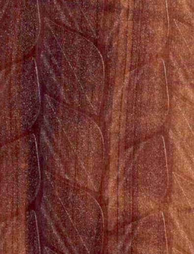 Best Laminates Brown Laminates 8x4 ft Texture designer laminates Brown 5160_LM