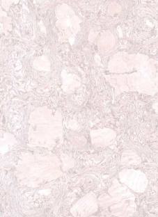 Ace Mica 8 Ivory Angel 8x4 ft High Gloss marble & stone laminates Beige 51670_A