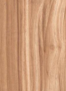 Purist Oak Wood Laminate 8x4 ft High Gloss 0.8 mm - 5212 A