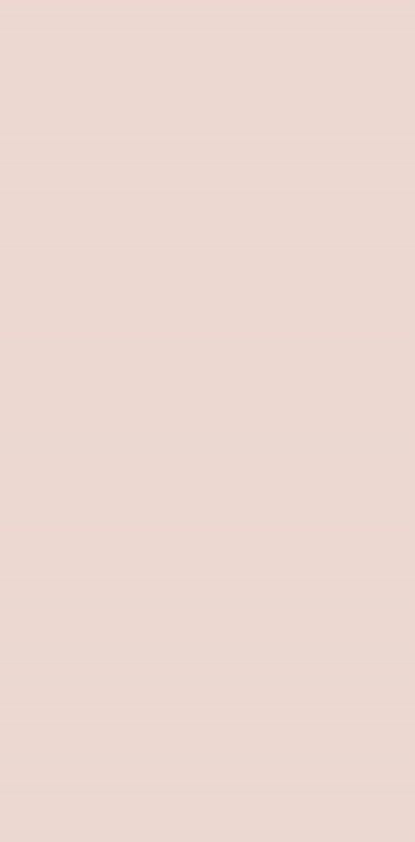 Powder Pnk Plain Laminate 8x4 ft High Gloss 1 mm - 5261 UG