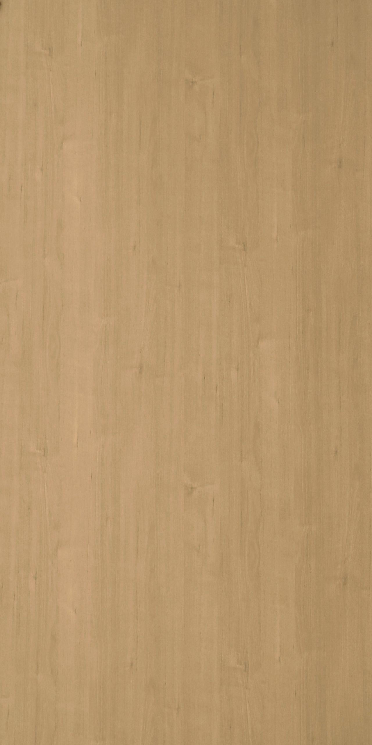 Wood Laminate 8x4 ft Texture 1 mm - 527 EW