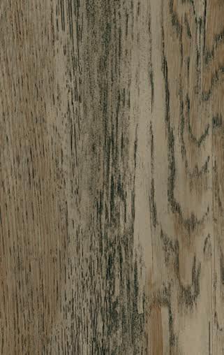 Canyon Baffin Oak Wood Laminate 8x4 ft Texture 1 mm - 531 MR