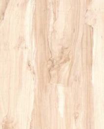 Snow Wood Laminate 8x4 ft Texture 0.8 mm - 53411 ZC