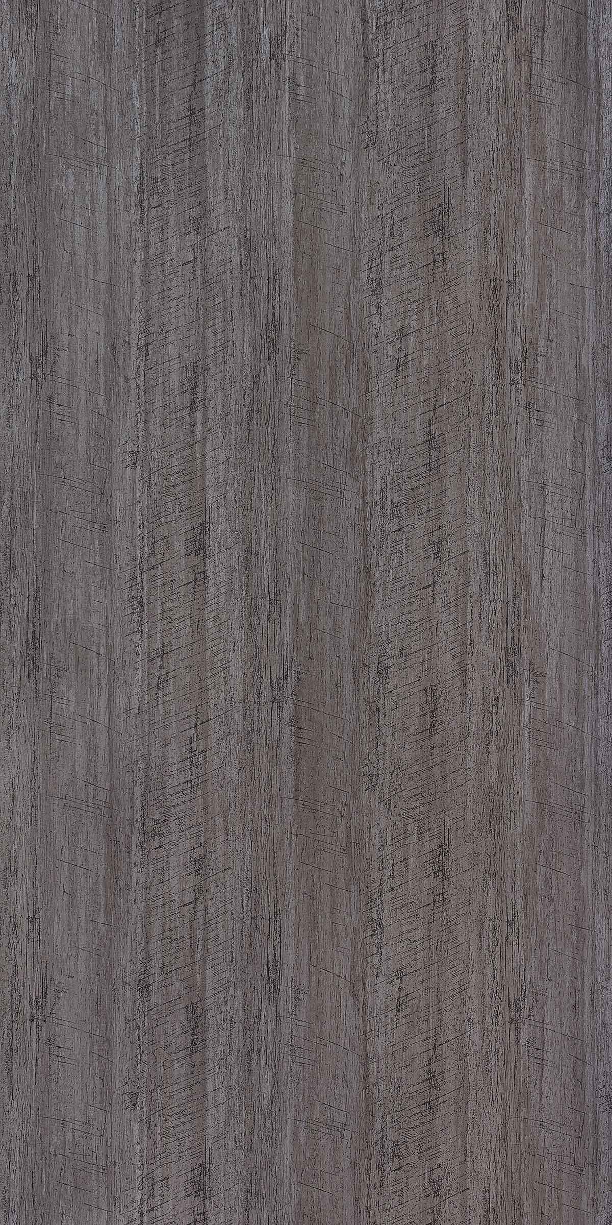 Beech Grey Wood Laminate 8x4 ft Texture 1 mm - 5501 CW